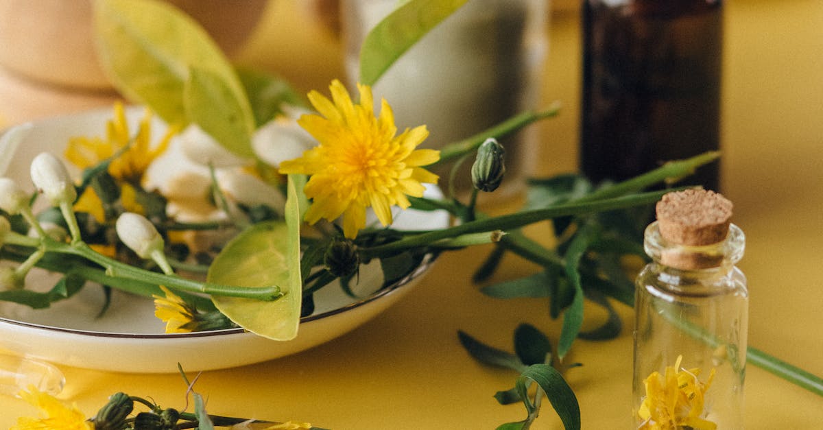 Is homeopathy approved by the FDA?