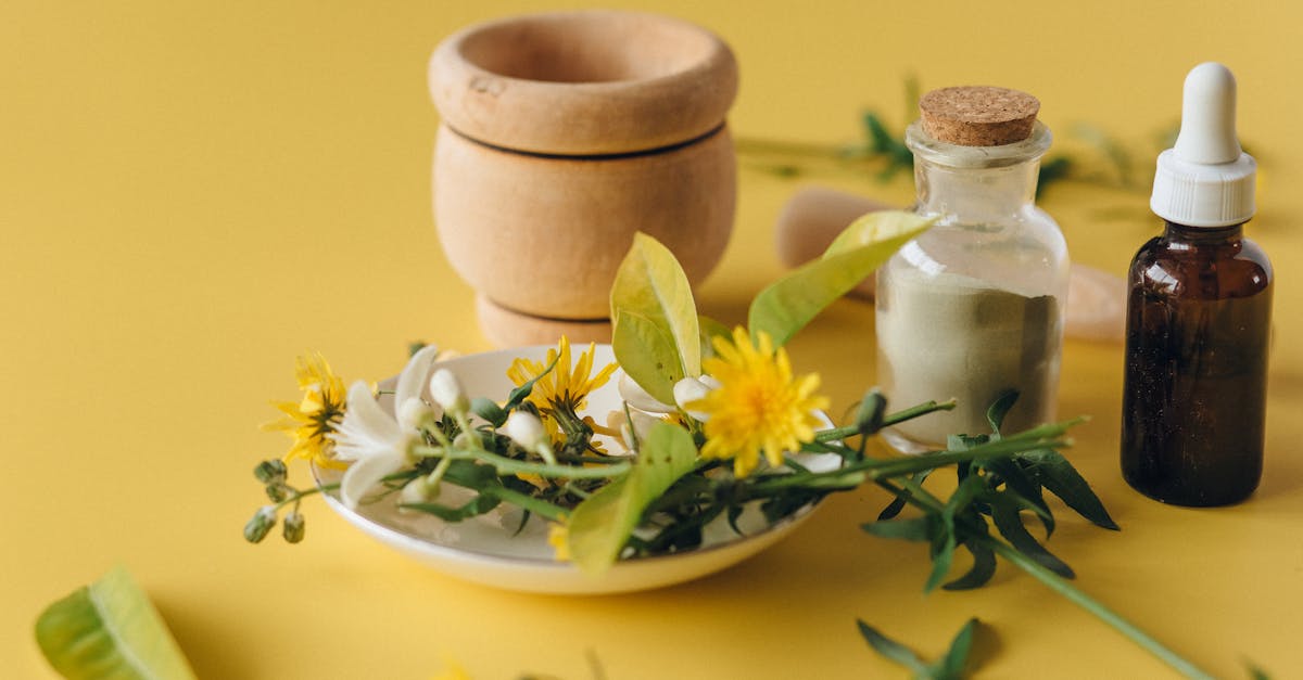 What is the main ingredient in homeopathy?